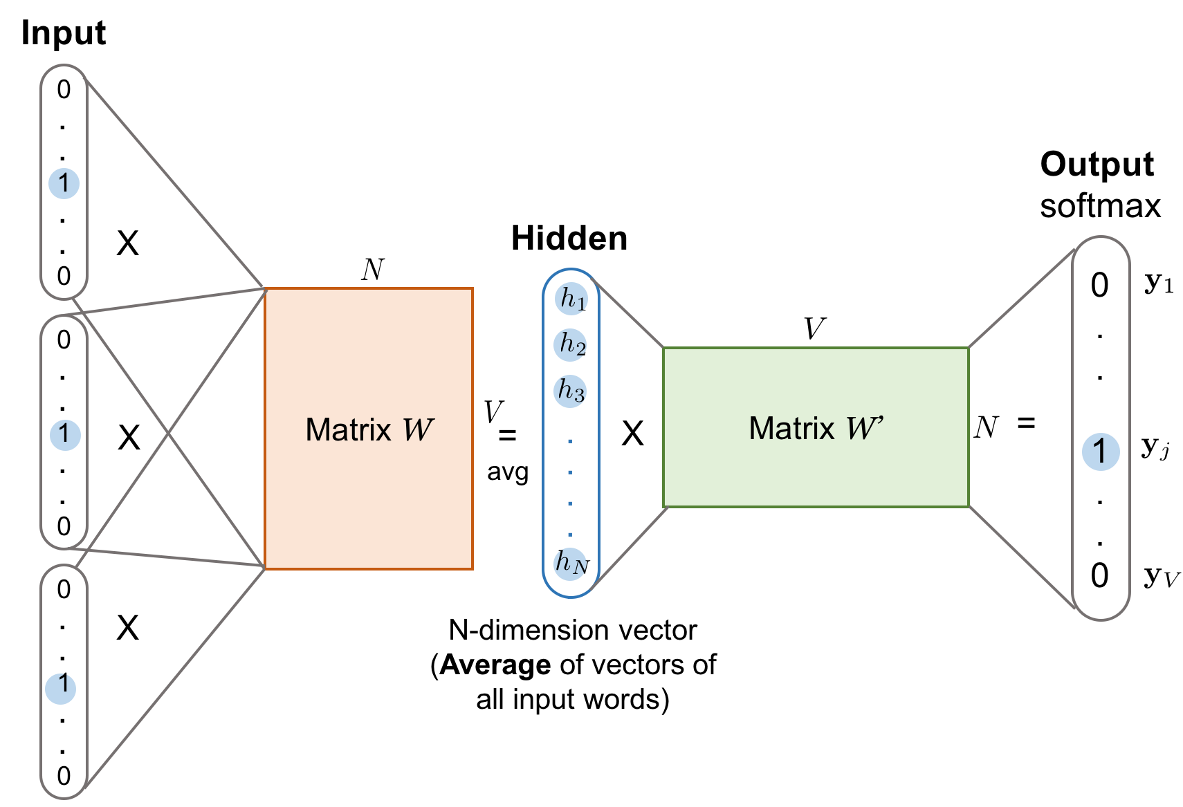 Diagram of the CBOW network: several one-hot context words map through the shared input embedding matrix, are averaged into a single hidden vector, and are projected through the output matrix to a softmax over the whole vocabulary to predict the target word