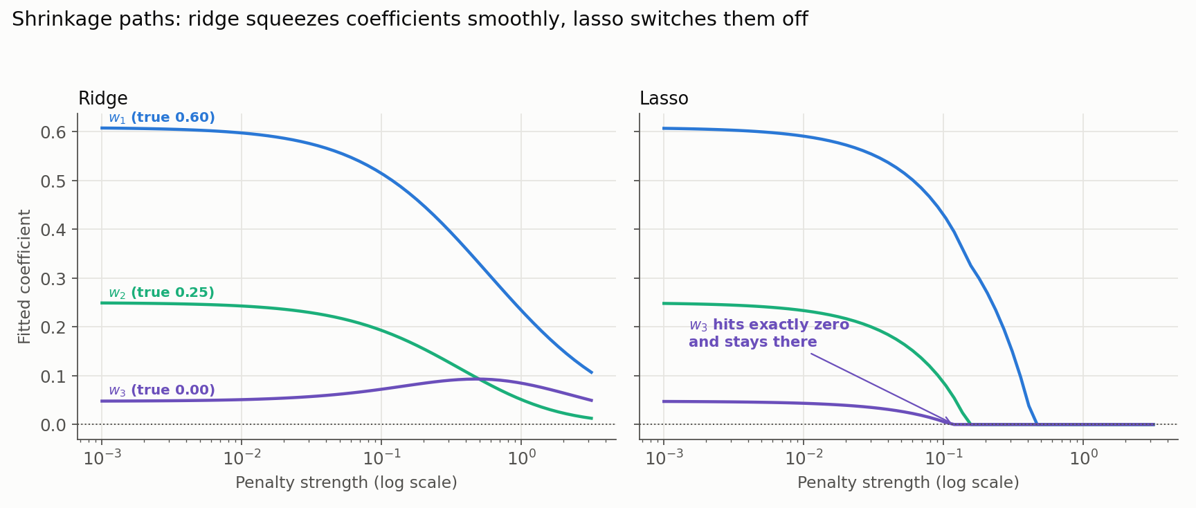 Coefficient paths against penalty strength on a log scale for ridge and lasso side by side. Ridge curves vary continuously and approach zero without being thresholded, with the useless coefficient briefly rising before falling; lasso curves hit exactly zero one by one, with the useless coefficient pinned at zero from moderate penalties onward.